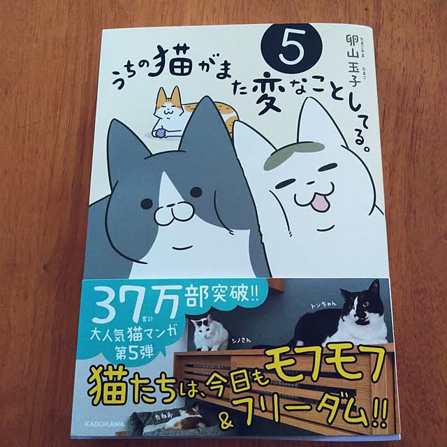 futukoさんの実例写真