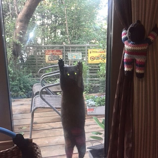 ayuさんの実例写真