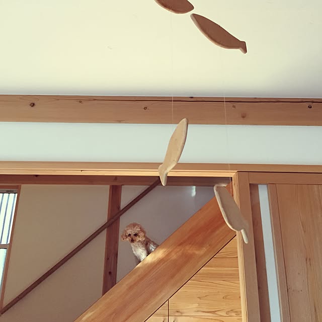 Kojisenさんの実例写真