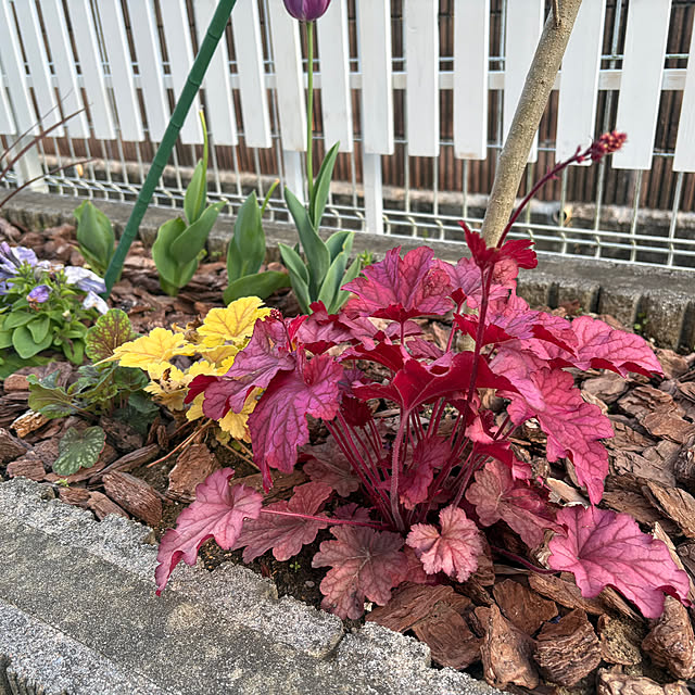 Haruさんの実例写真