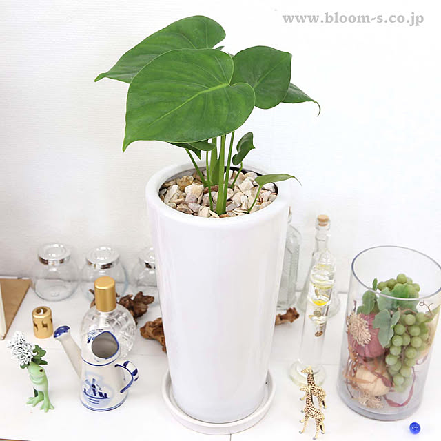 BloomingScapeさんの実例写真