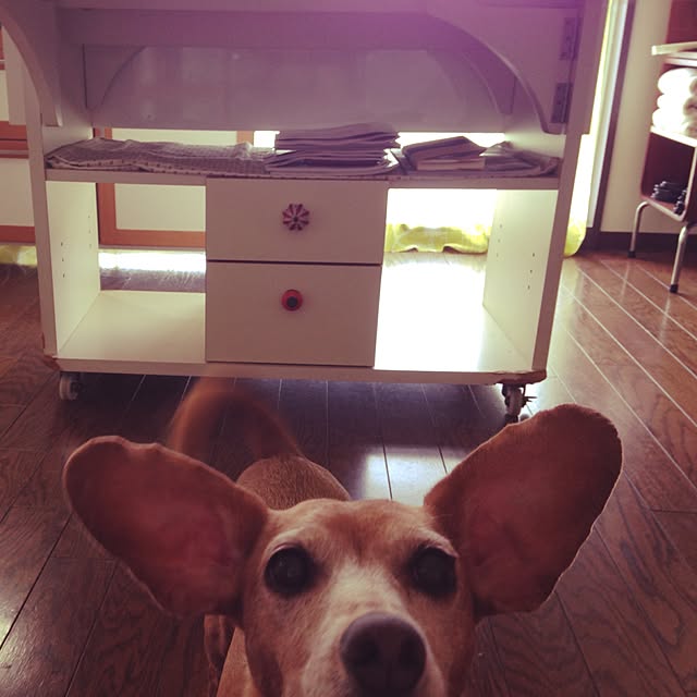 Natalieさんの実例写真
