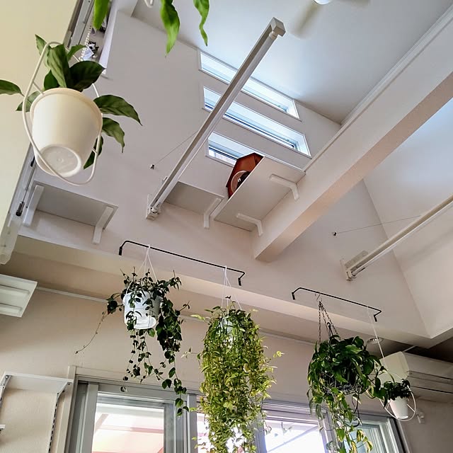 hibisuさんの部屋