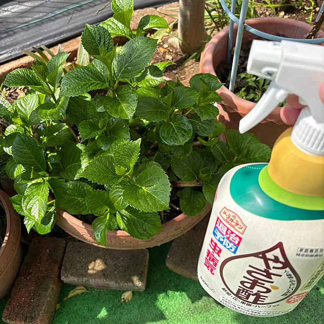 nannoさんの部屋