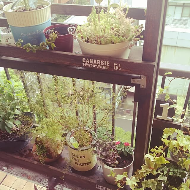 shinji19730515さんの実例写真
