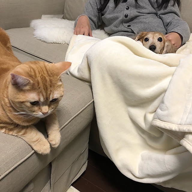 Atelier.mさんの実例写真