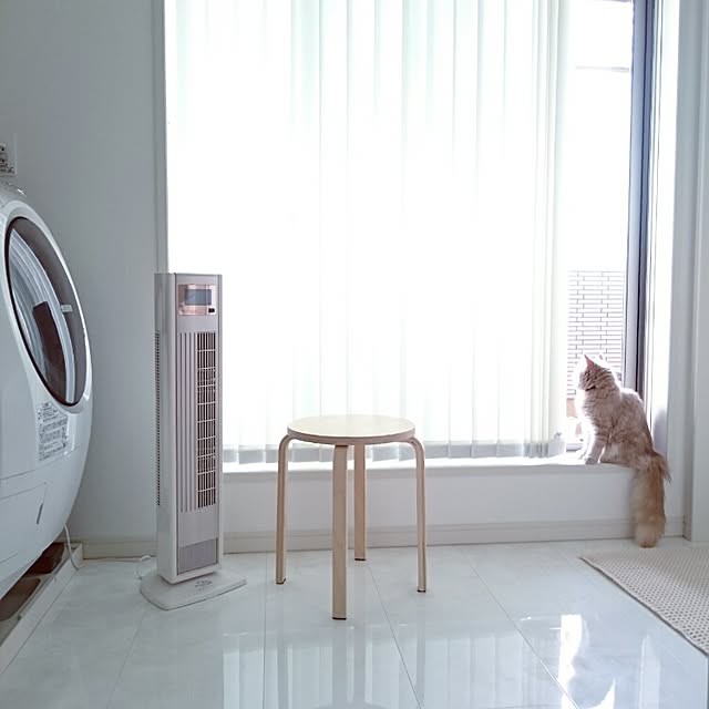 Lizさんの実例写真
