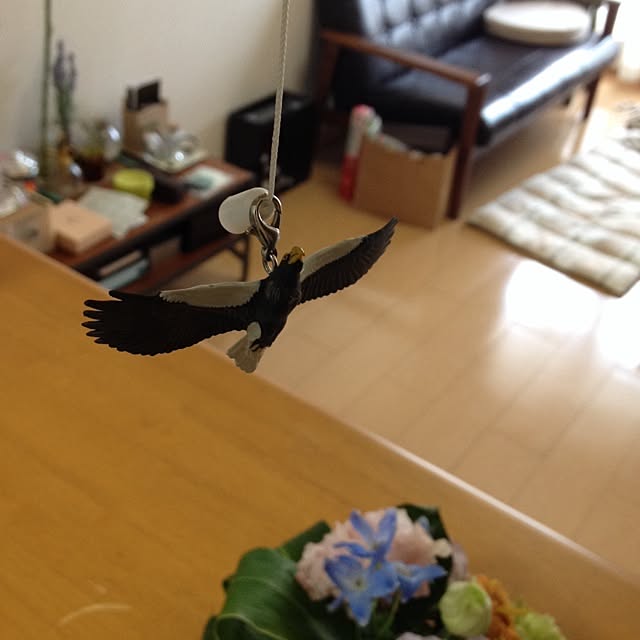 yumiさんの実例写真