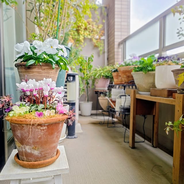 YuriYuriさんの実例写真