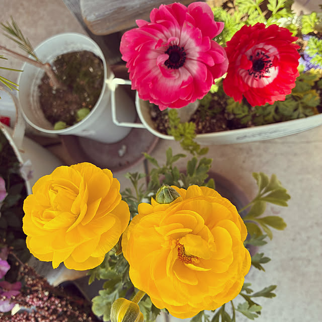 ayayayayaさんの部屋