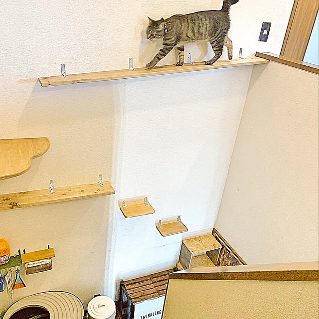 nisannisan39さんの実例写真