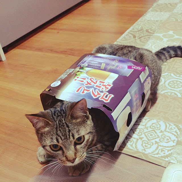 BLACKさんの実例写真