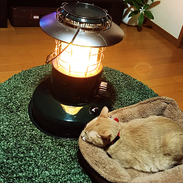 mikan161さんの実例写真