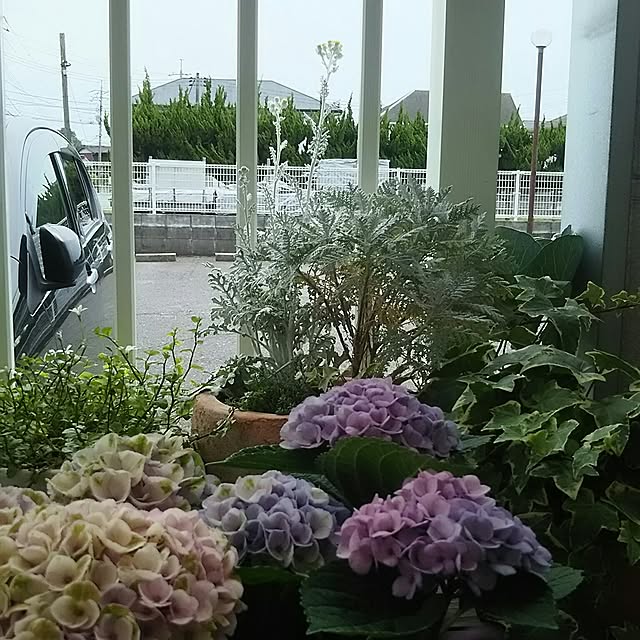 naopyiさんの実例写真