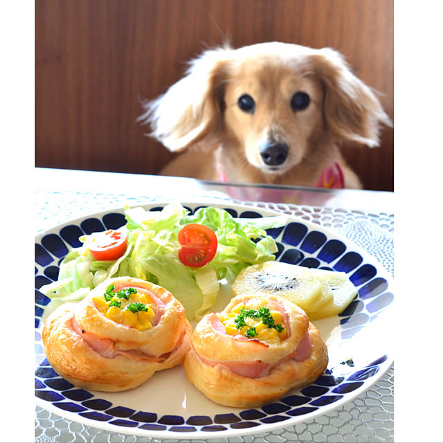 Torteさんの実例写真