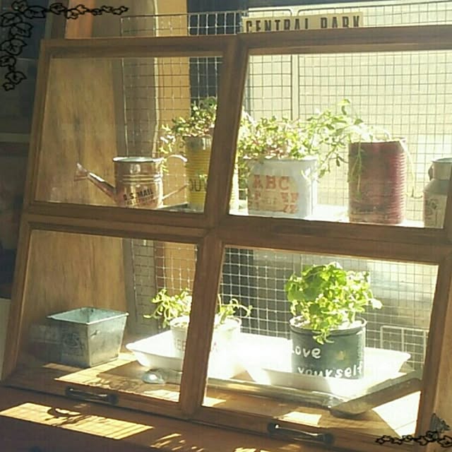 DS250さんの実例写真