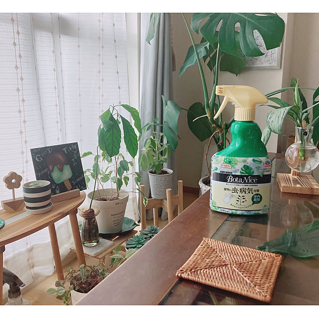 aiaiさんの実例写真