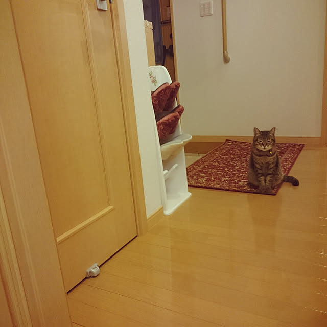 lilyさんの実例写真