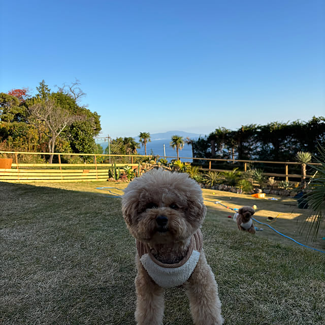 bonber0212さんの部屋