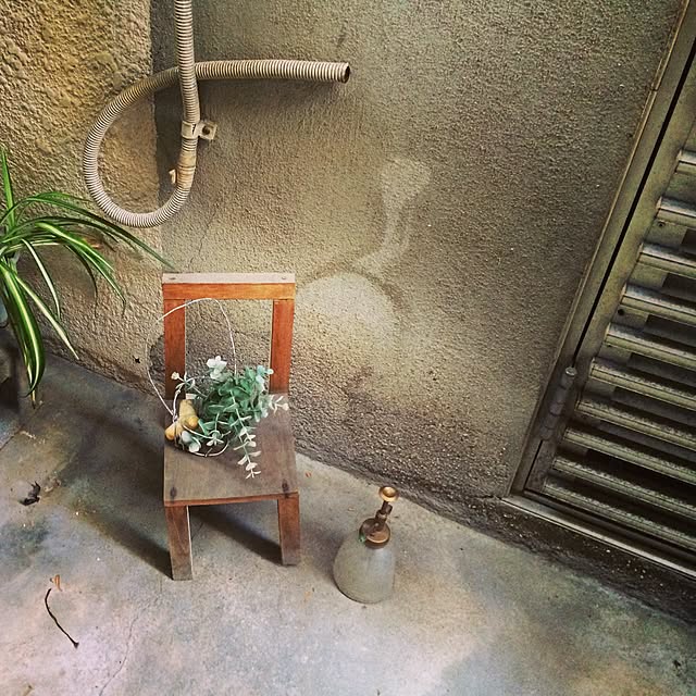 玄関/入り口/DIY/植物のインテリア実例 - 2014-11-16 21:59:36