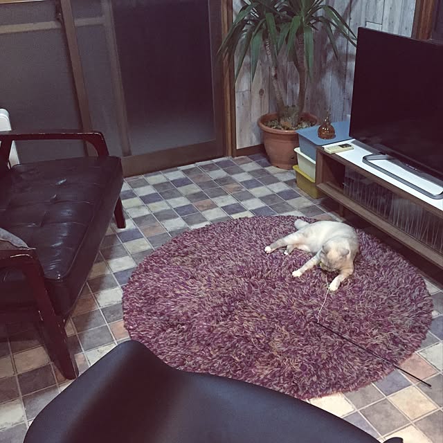 chakiさんの実例写真