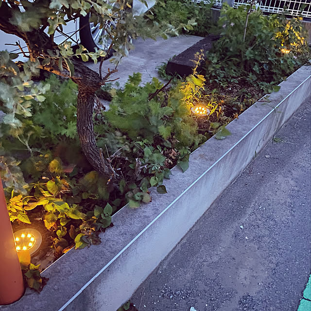 ForestDayさんの実例写真