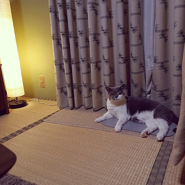rhuさんの実例写真