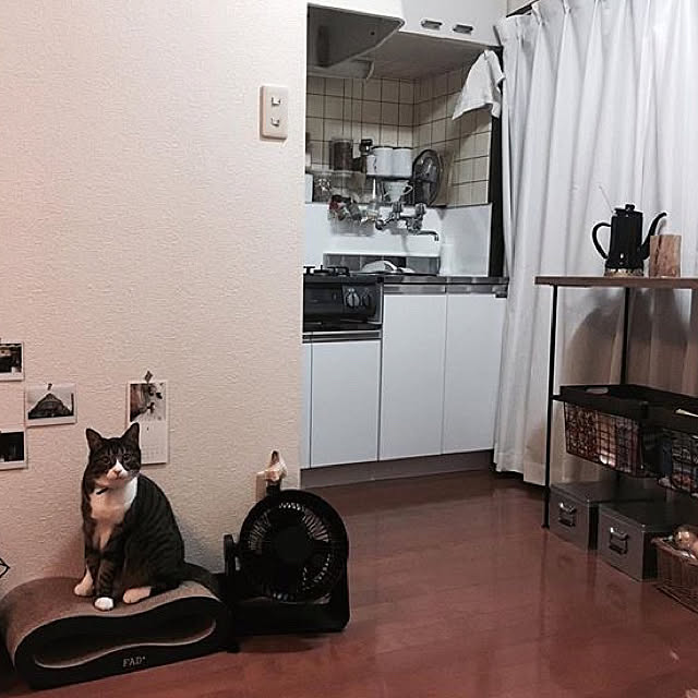 yukiさんの実例写真