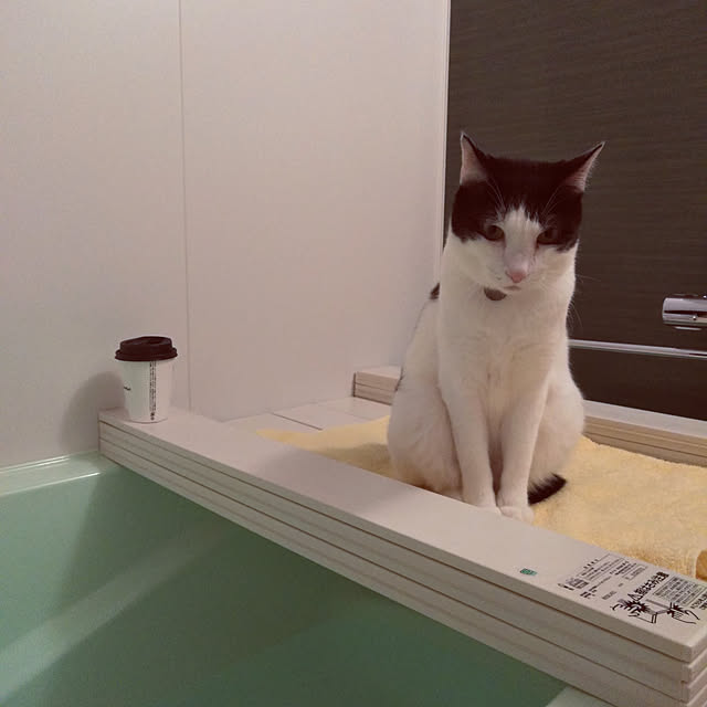 futukoさんの実例写真