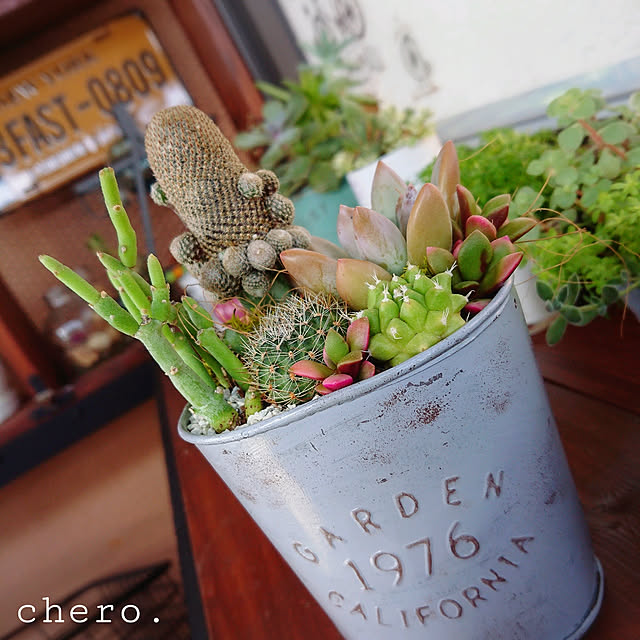 chero.さんの実例写真