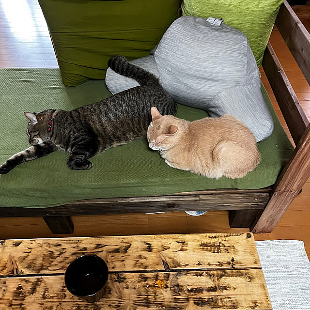 mikan161さんの実例写真