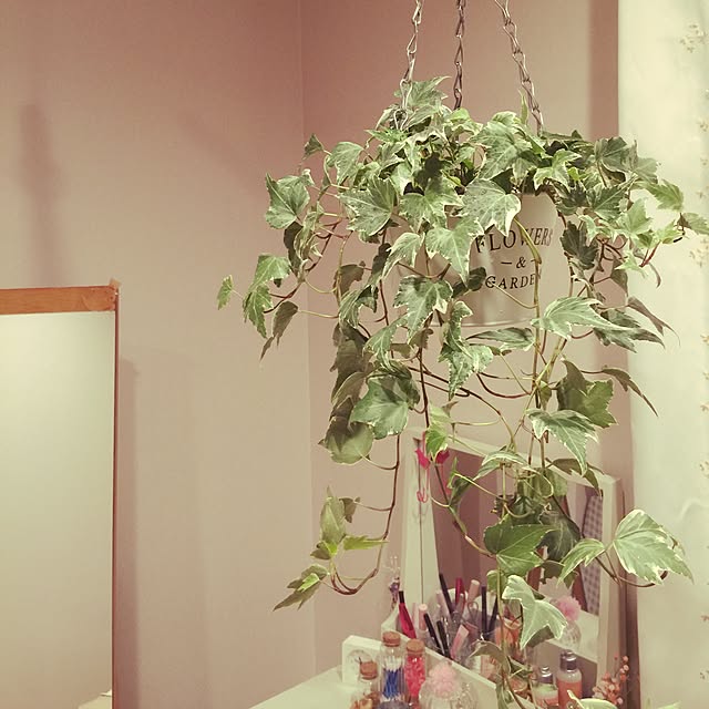 rarachanさんの実例写真