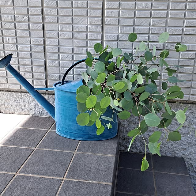 naoさんの実例写真