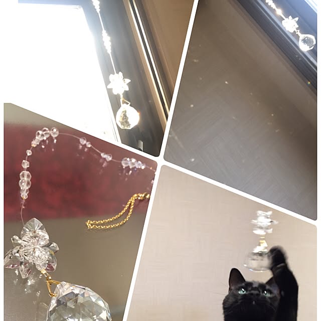 fuminさんの実例写真