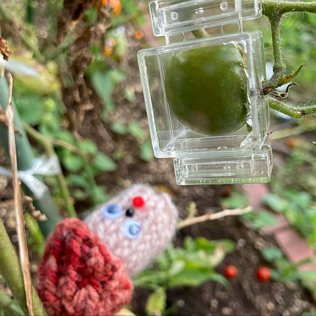 manduonmaさんの実例写真