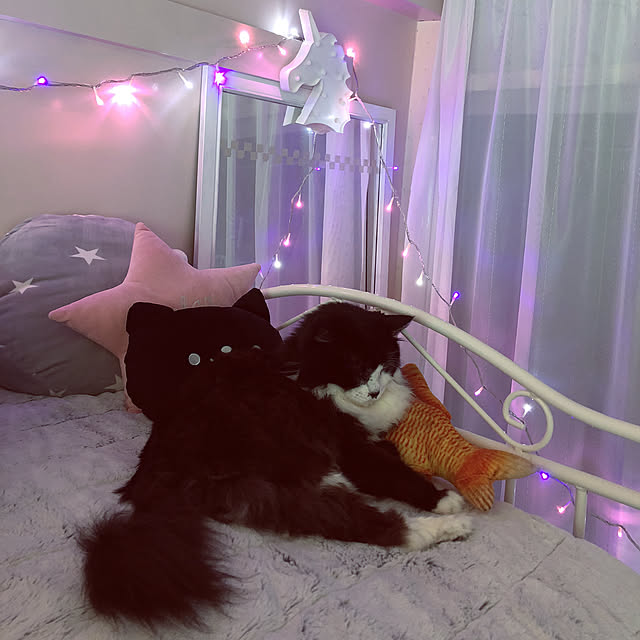 kanaさんの実例写真