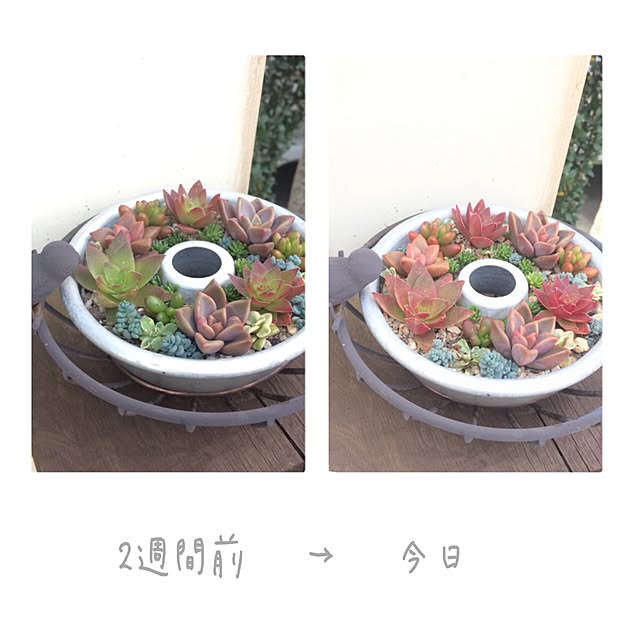 seven.さんの実例写真