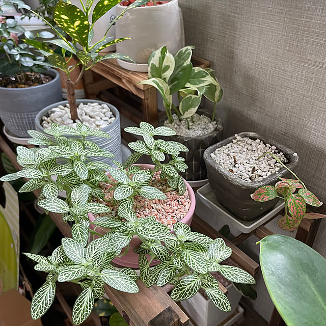 ikuzakさんの部屋