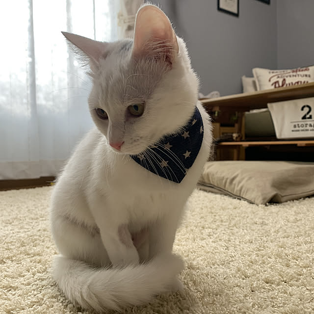 keiさんの実例写真
