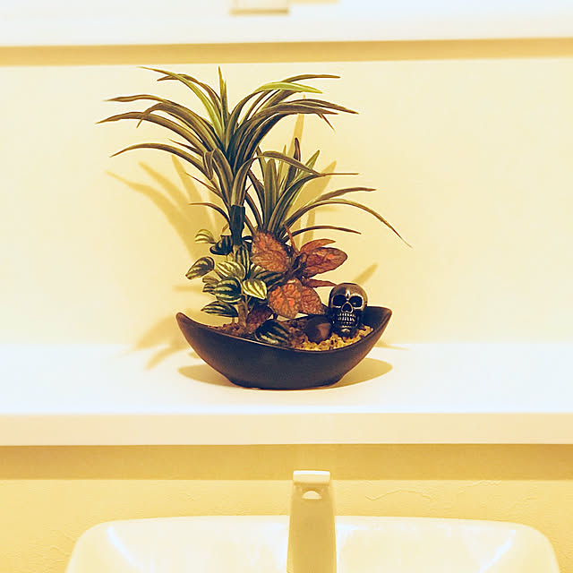 Sho-taroさんの実例写真