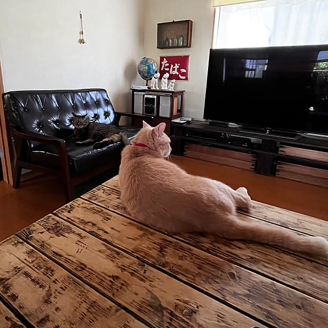 mikan161さんの実例写真