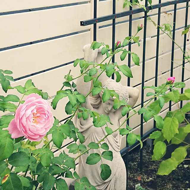 Bienvenueさんの実例写真