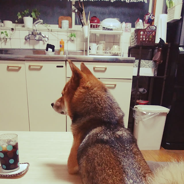 mameさんの実例写真