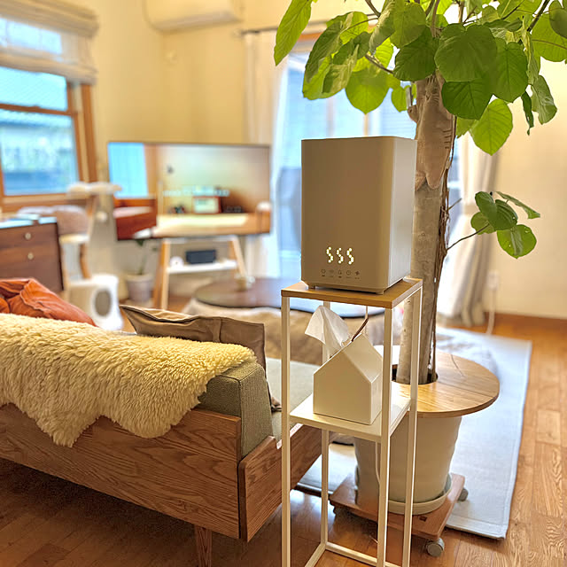 67さんの実例写真