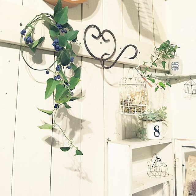 marikaさんの実例写真