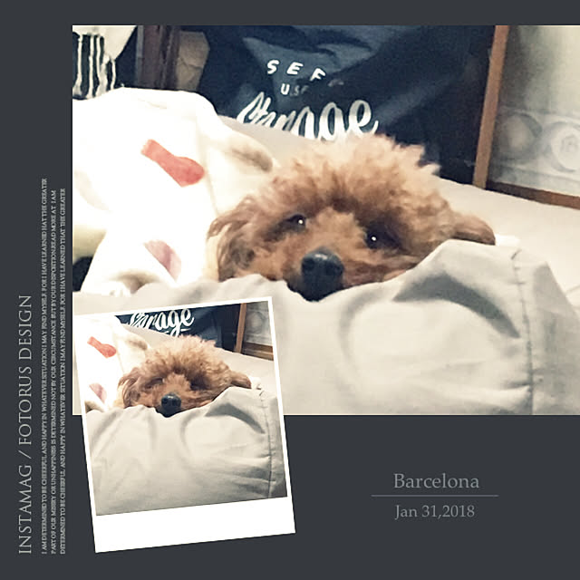 MIYUさんの実例写真