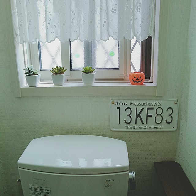shizuさんの実例写真