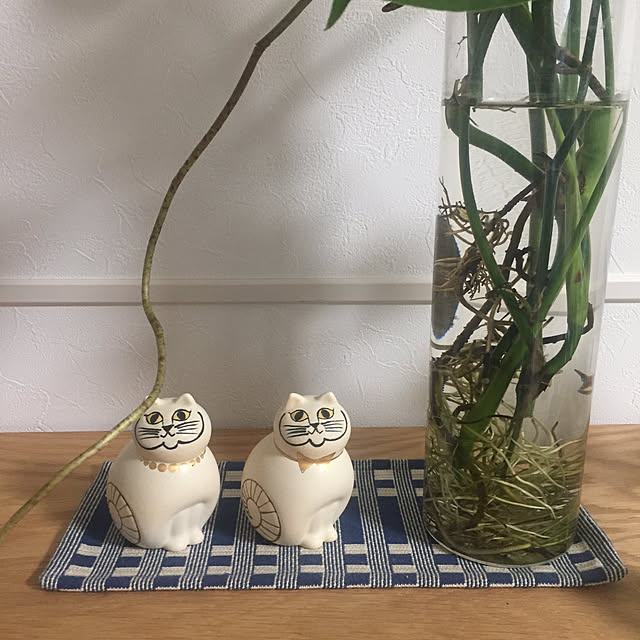 kumazouさんの実例写真