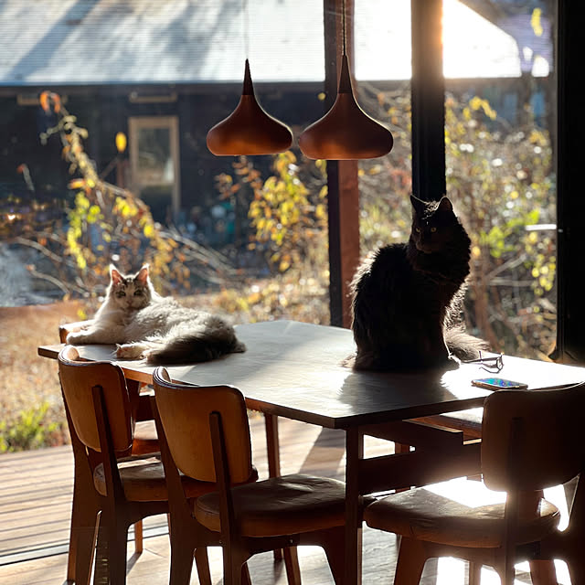 Kikko.さんの実例写真