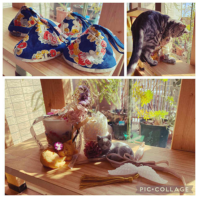 yuzuaoさんの実例写真